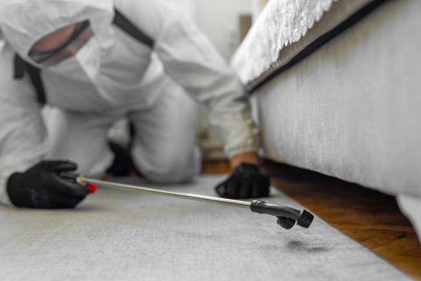 Professional Ant Control technician working in Westbrook, ME